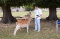 Ed -DSC_0269